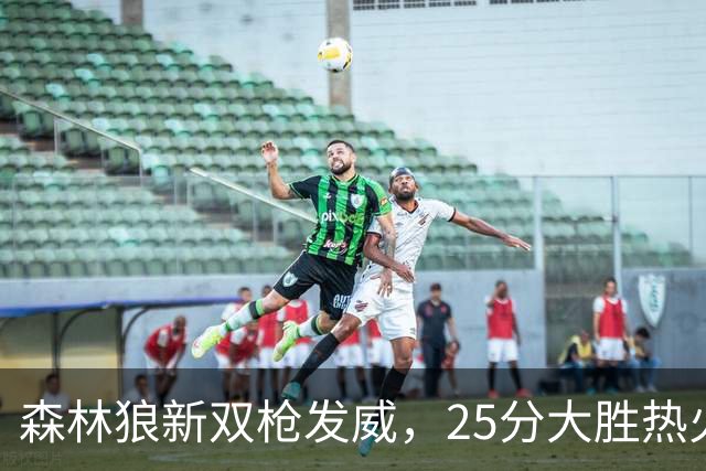 森林狼新双枪发威，25分大胜热火，字母哥独木难支